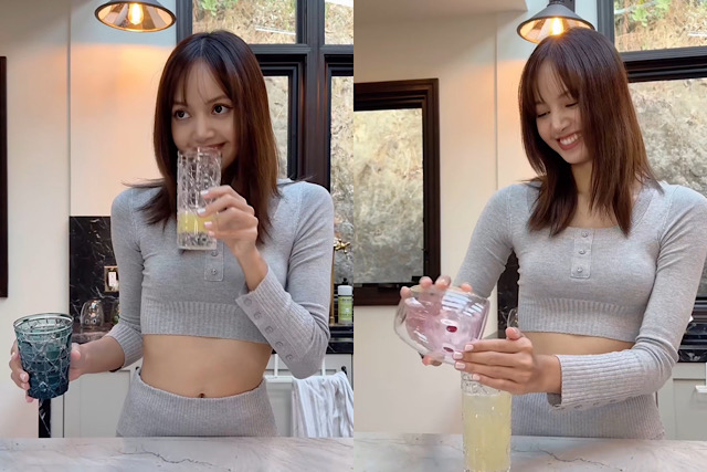 Lemonade 101 Class By LISA